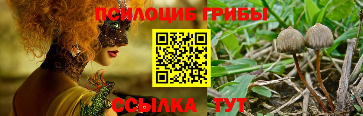 Псилоцибиновые грибы MAGIC MUSHROOMS  Вход с VPN  Псилоцибиновые грибы прущие грибы  Ноябрьск 